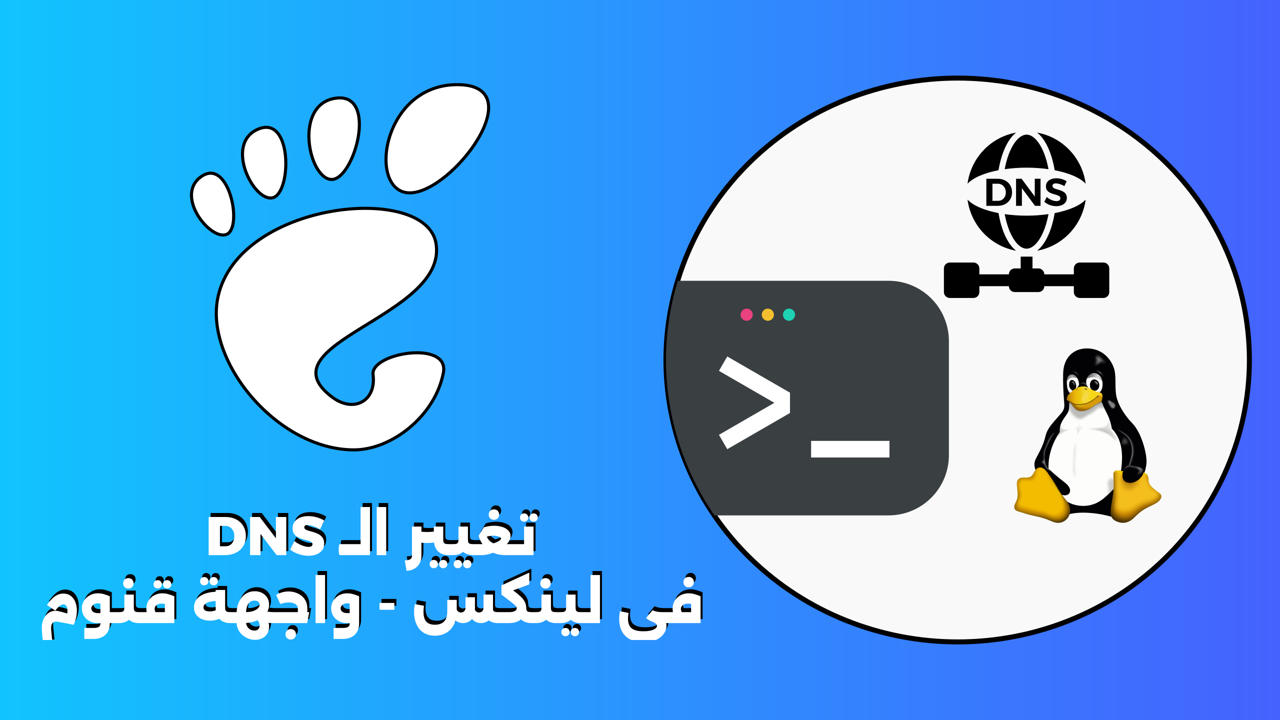 تغير DNS قنوم